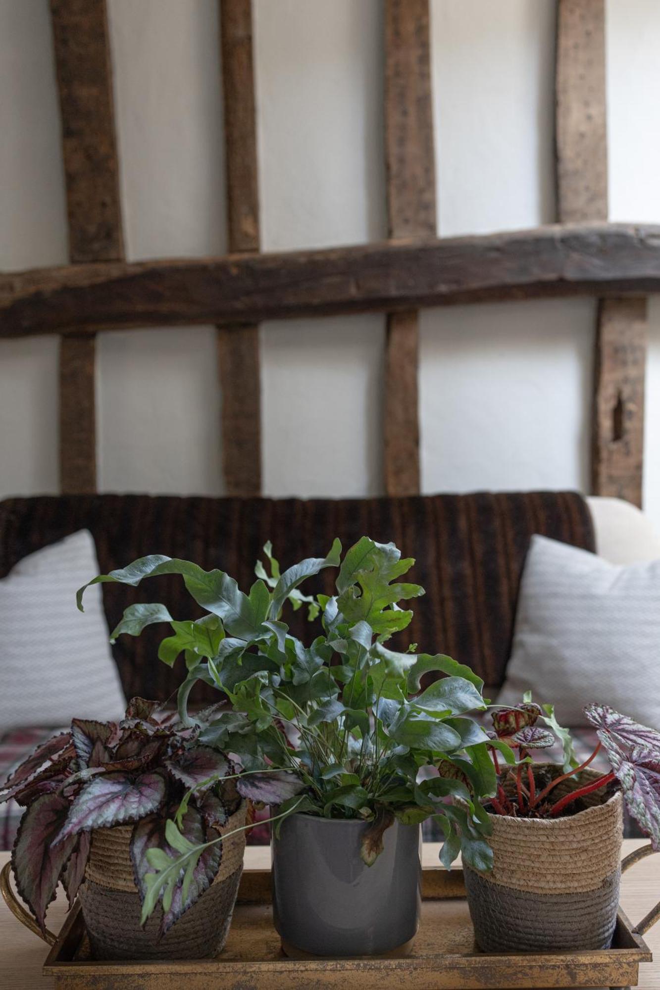 Westdean Saltmarsh Farmhouse المظهر الخارجي الصورة